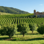 découvrez comment les cidreries traditionnelles s’inscrivent dans le patrimoine mondial de l’unesco, entre savoir-faire ancestral et richesse culturelle, pour une expérience unique mêlant histoire et dégustation.