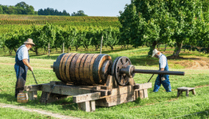 découvrez comment l’histoire et l’anthropologie du cidre explorent son évolution, ses traditions et ses rôles culturels à travers les siècles et différentes sociétés.