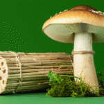 découvrez les dernières innovations durables dans l’emballage : matériaux écologiques, solutions réutilisables et technologies vertes pour un avenir respectueux de l’environnement.